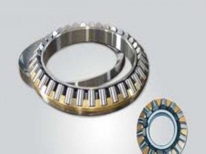 Toyana NCF1876 V cylindrical roller bearings