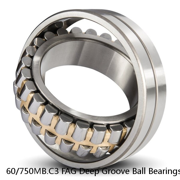 60/750MB.C3 FAG Deep Groove Ball Bearings