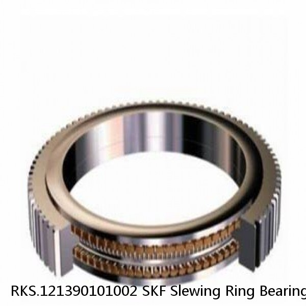 RKS.121390101002 SKF Slewing Ring Bearings #1 small image