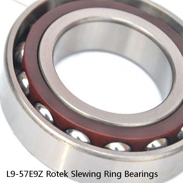 L9-57E9Z Rotek Slewing Ring Bearings #1 small image