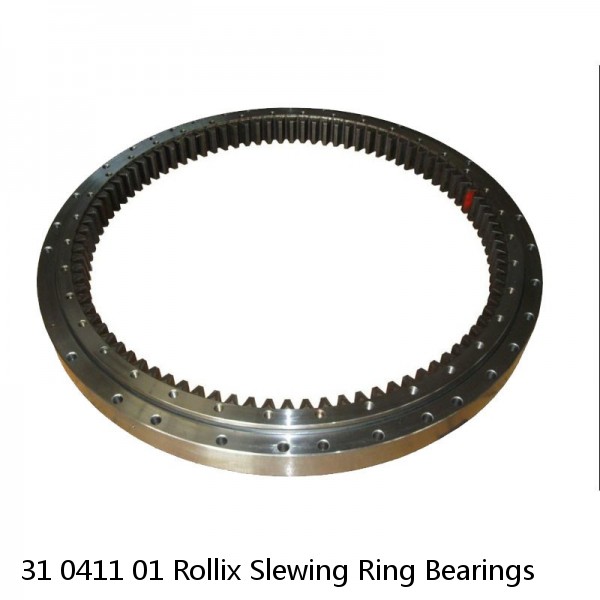 31 0411 01 Rollix Slewing Ring Bearings #1 small image