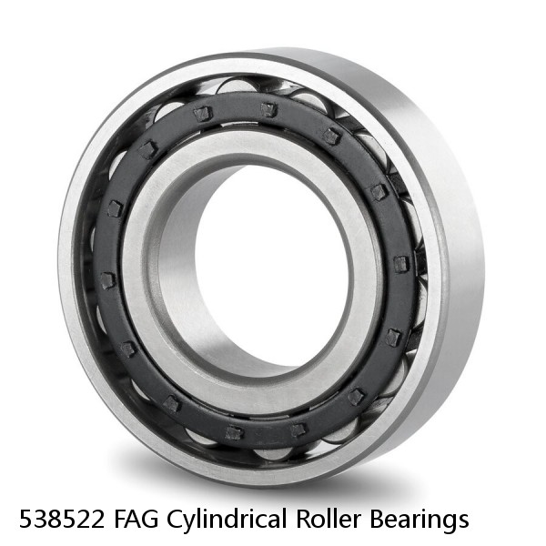 538522 FAG Cylindrical Roller Bearings #1 small image