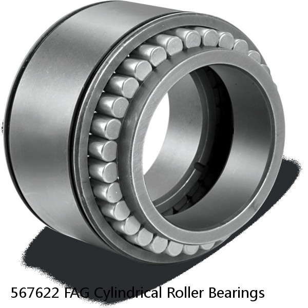 567622 FAG Cylindrical Roller Bearings #1 small image
