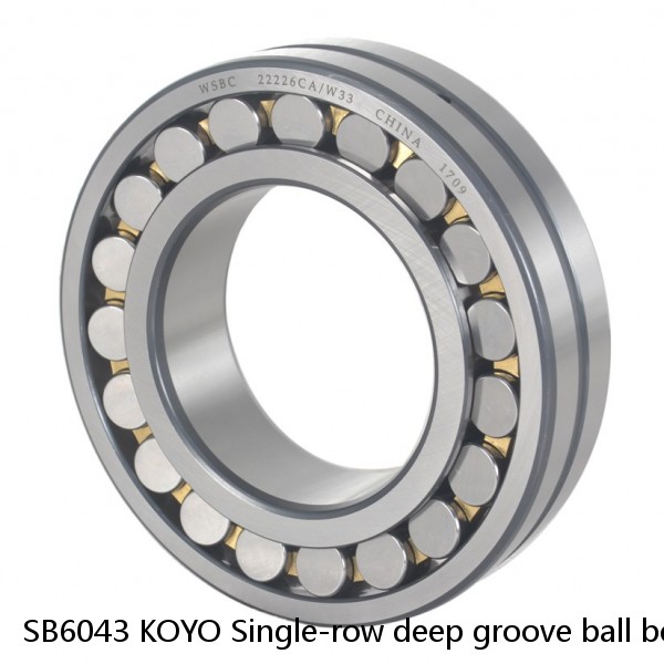 SB6043 KOYO Single-row deep groove ball bearings #1 small image
