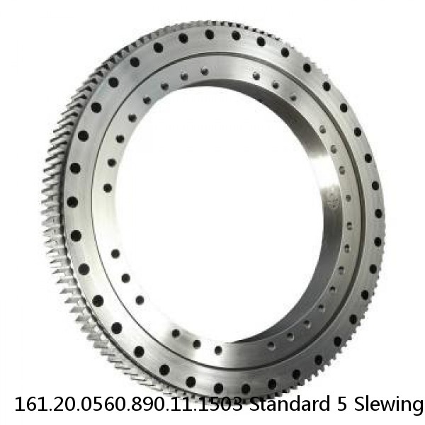 161.20.0560.890.11.1503 Standard 5 Slewing Ring Bearings