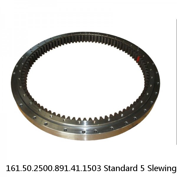 161.50.2500.891.41.1503 Standard 5 Slewing Ring Bearings #1 image