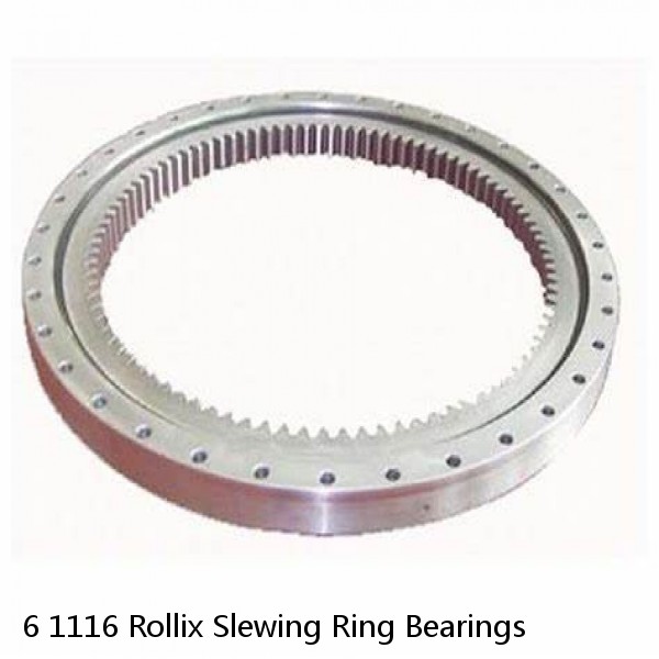 6 1116 Rollix Slewing Ring Bearings #1 image