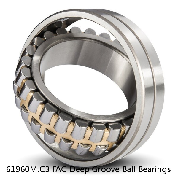 61960M.C3 FAG Deep Groove Ball Bearings #1 image