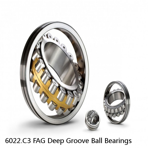 6022.C3 FAG Deep Groove Ball Bearings #1 image