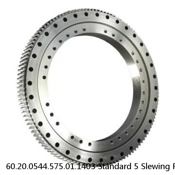 60.20.0544.575.01.1403 Standard 5 Slewing Ring Bearings #1 image