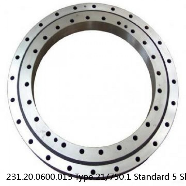 231.20.0600.013 Type 21/750.1 Standard 5 Slewing Ring Bearings #1 image