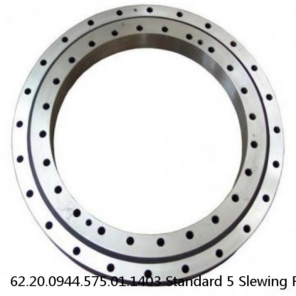 62.20.0944.575.01.1403 Standard 5 Slewing Ring Bearings #1 image