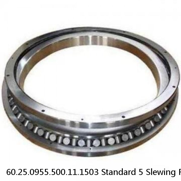60.25.0955.500.11.1503 Standard 5 Slewing Ring Bearings #1 image
