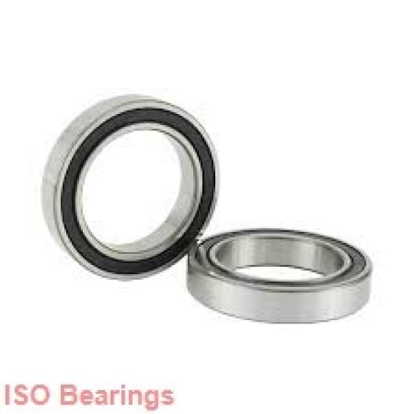 1320 mm x 1600 mm x 122 mm  ISO NU18/1320 cylindrical roller bearings #1 image